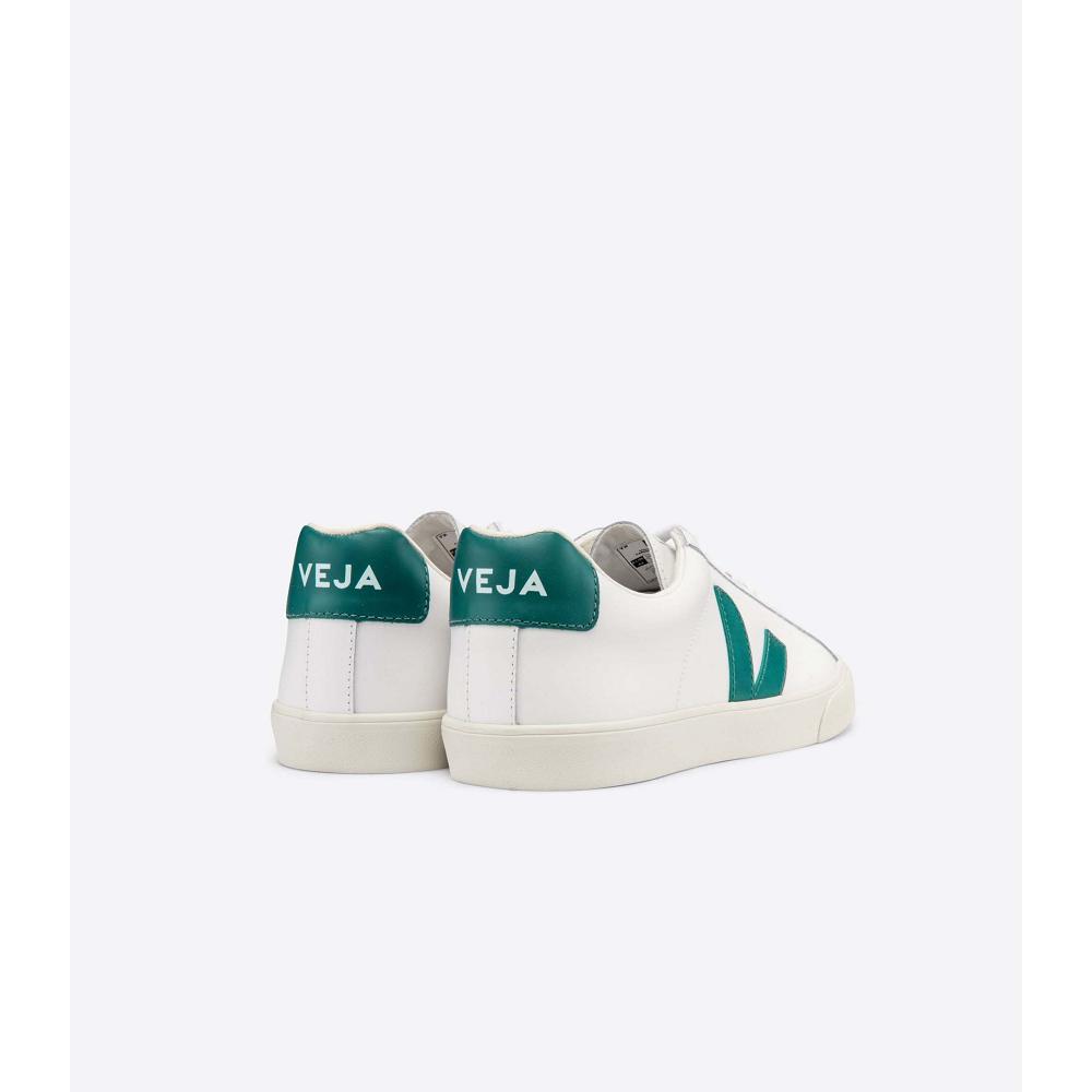 Veja ESPLAR LEATHER Men's Sneakers White/Green | CA 305ZUT